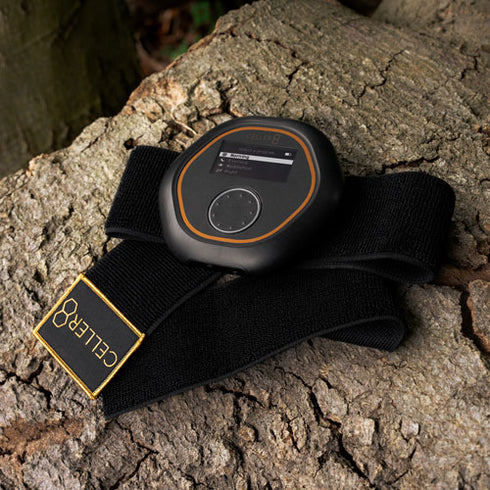 Elasticated Strap