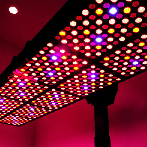 CELLER8® Full-Body Red Light Panel