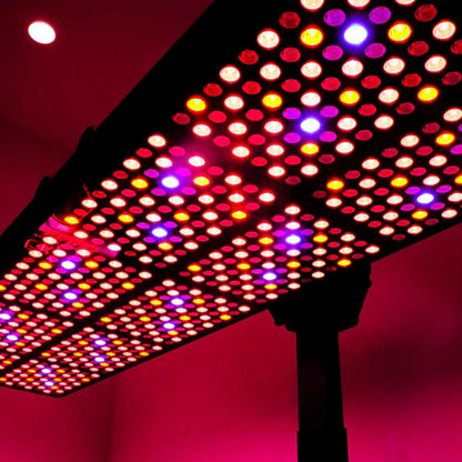 CELLER8® Full-Body Red Light Panel