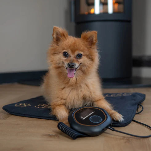 CELLER8® Small Pet Package