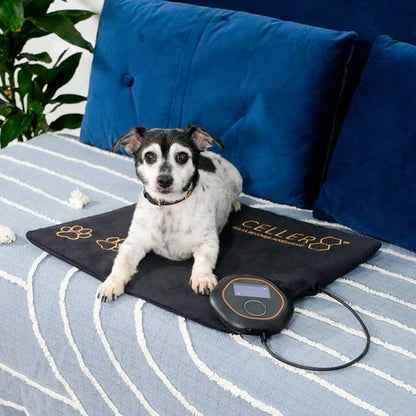 CELLER8® Small Pet Package