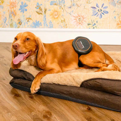 CELLER8® Large Pet Package