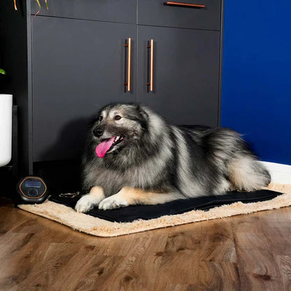 CELLER8® Large Pet Package