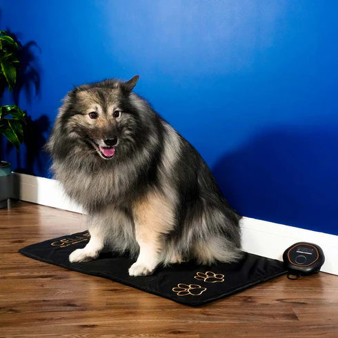 CELLER8® Large Pet Package