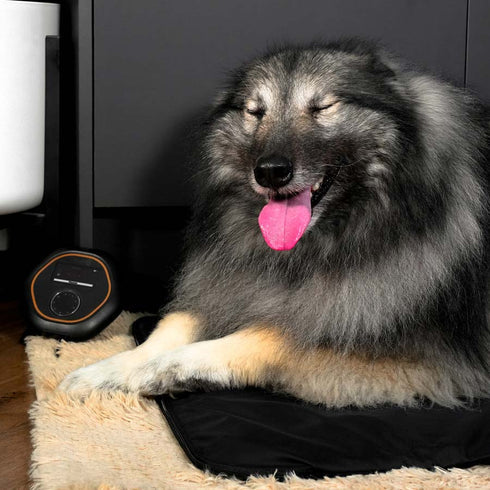CELLER8® Large Pet Package