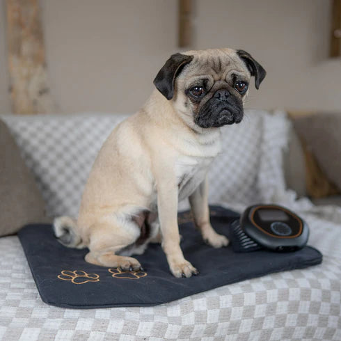 CELLER8® Small Pet Package