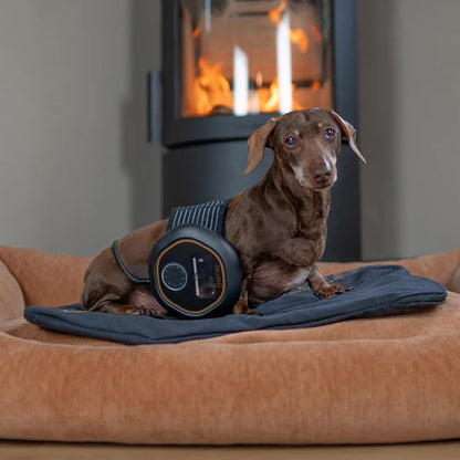 CELLER8® Small Pet Package