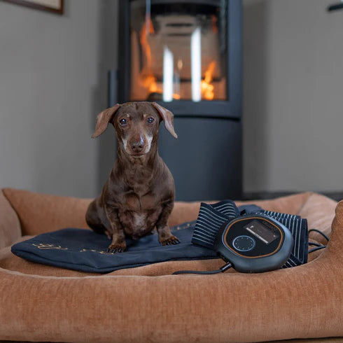 CELLER8® Small Pet Package